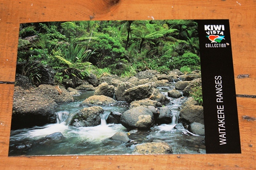 Front of postcard 045: Waitakere Ranges